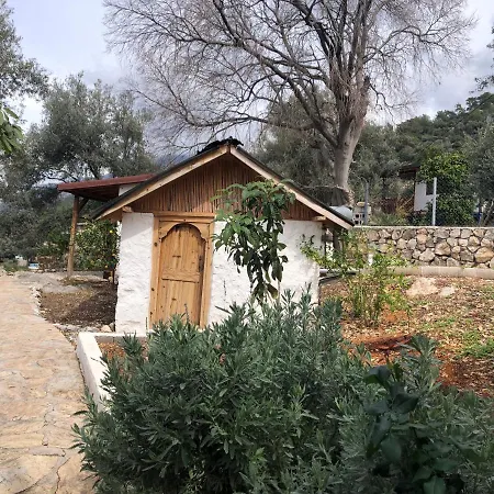 Hébergement de vacances Sea Side Faralya Fethiye
